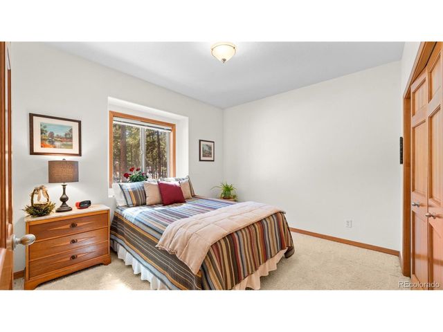 1230 Woodland Valley Ranch Dr, Woodland Park, CO 80863