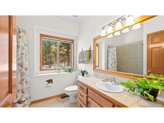 1230 Woodland Valley Ranch Dr, Woodland Park, CO 80863