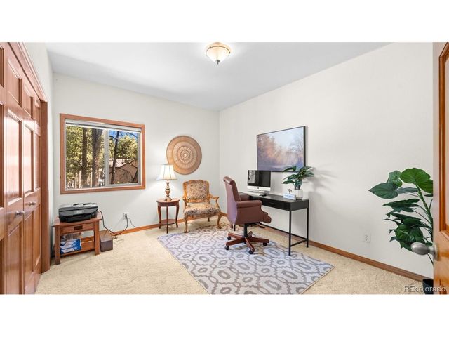 1230 Woodland Valley Ranch Dr, Woodland Park, CO 80863