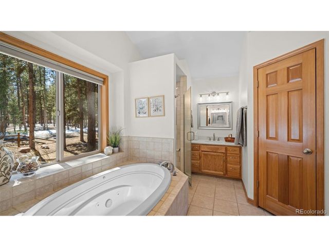 1230 Woodland Valley Ranch Dr, Woodland Park, CO 80863