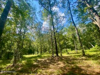6178 Womack Ln, Summit, MS 39666