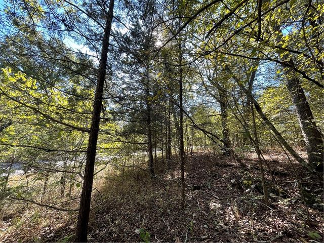 63 Eagle Drive, Holiday Island, AR 72631