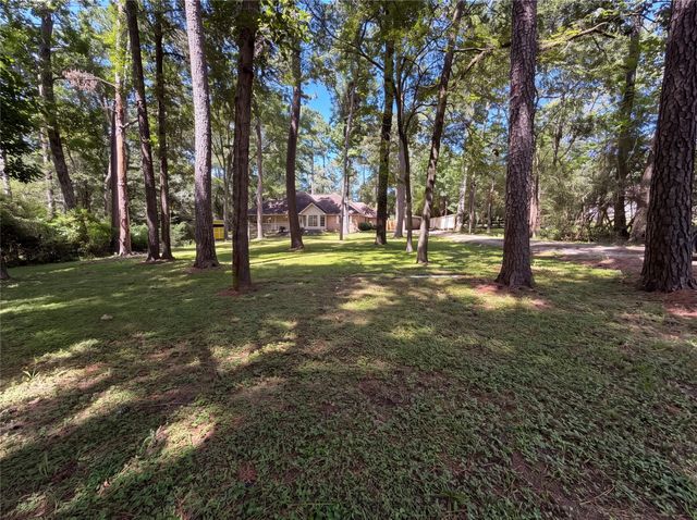 33406 Buck Road, Magnolia, TX 77355