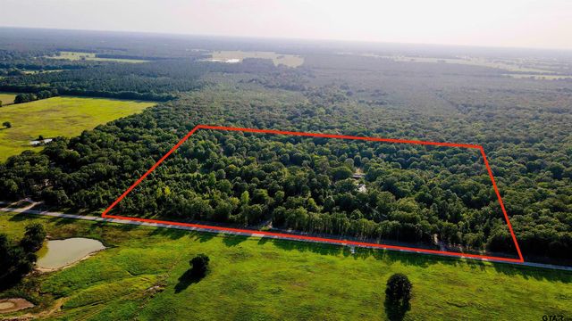 1167 County Road 44600, Blossom, TX 75416