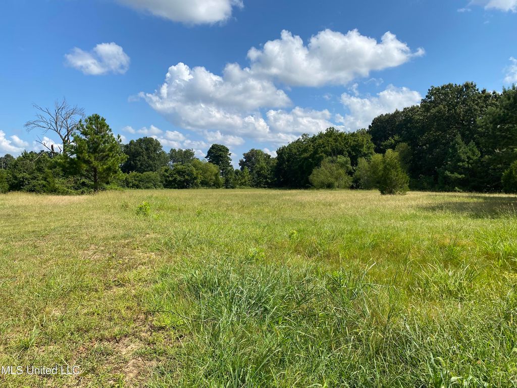 6826 Payne Lane, Olive Branch, MS 38654 — photo 2