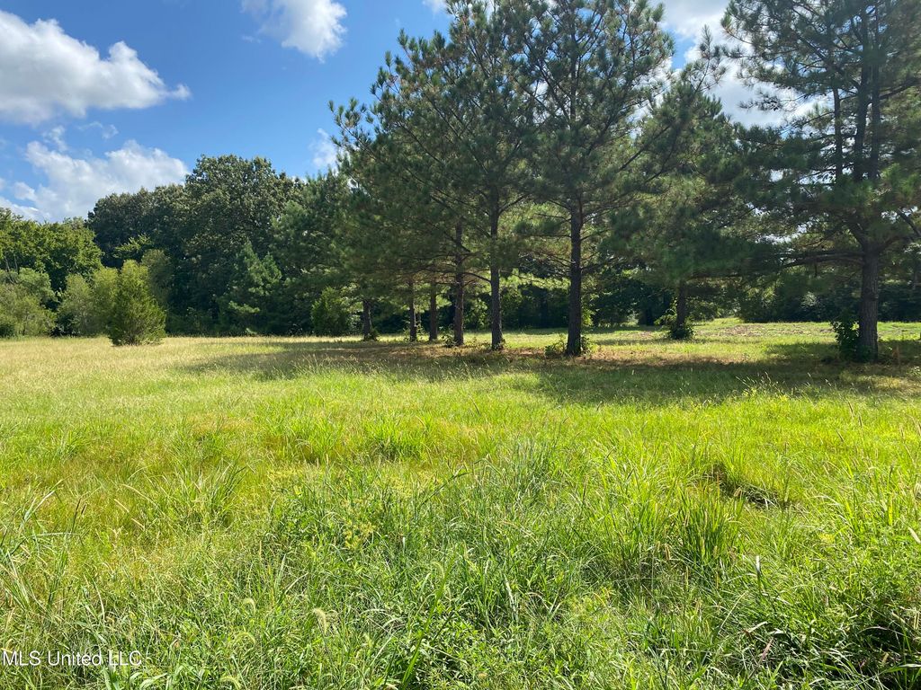 6826 Payne Lane, Olive Branch, MS 38654 — photo 4