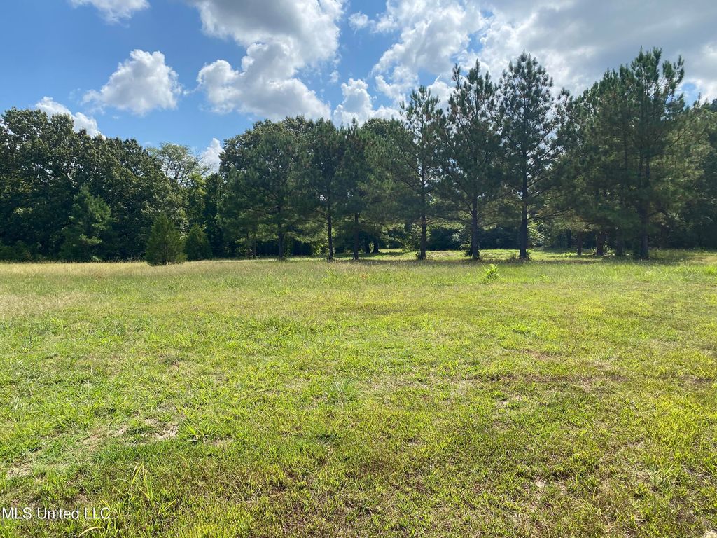 6826 Payne Lane, Olive Branch, MS 38654 — photo 5