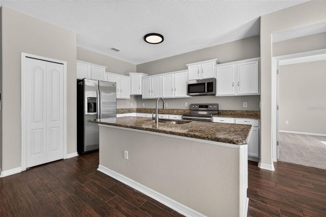 14013 HOLLOW LEAF PLACE, Riverview, FL 33579