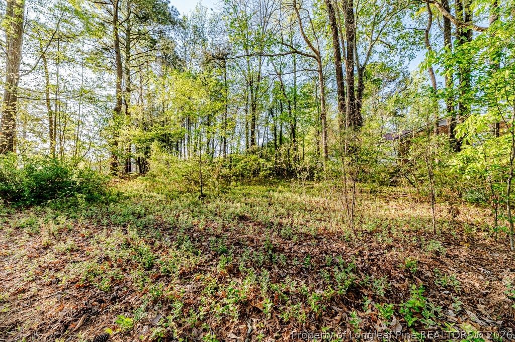 0 Hillwood Street, Sanford, NC 27330