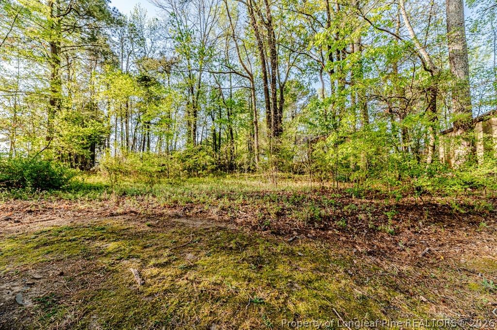0 Hillwood Street, Sanford, NC 27330 — photo 3