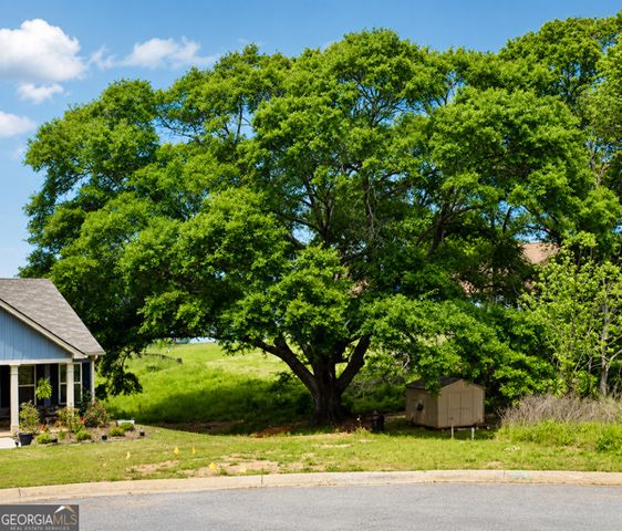 142 Peach Lane, Royston, GA 30662