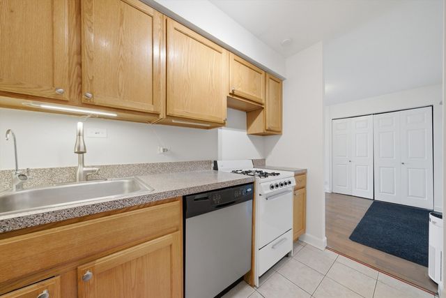 3900 N Pine Grove Avenue 511, Chicago, IL 60613