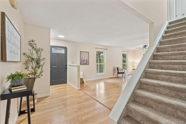 6675 Buffalo Drive, Colorado Springs, CO 80918