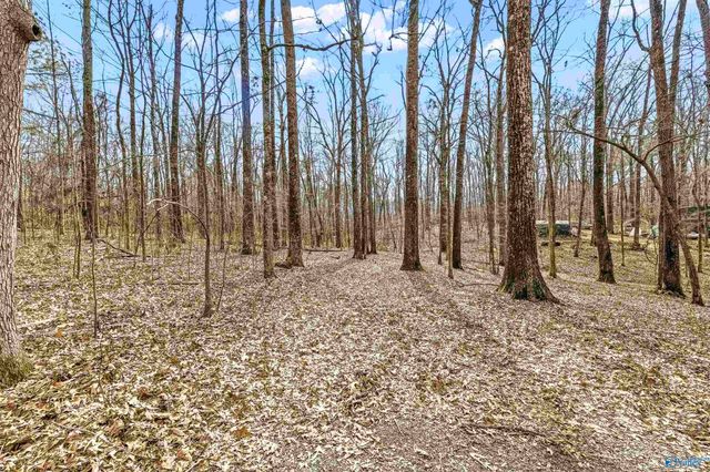 374 Shagbark Trail, Somerville, AL 35670