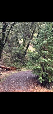 15234 Stormy Ln, Glencoe, CA 95232