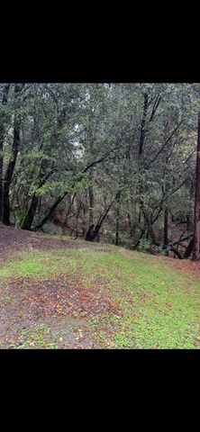 15234 Stormy Ln, Glencoe, CA 95232