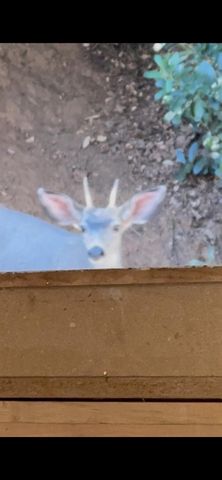 15234 Stormy Ln, Glencoe, CA 95232