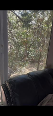 15234 Stormy Ln, Glencoe, CA 95232