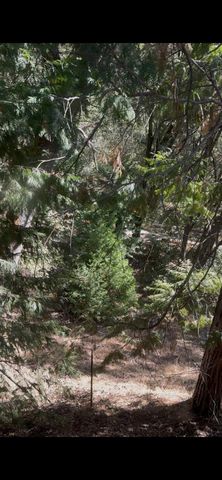 15234 Stormy Ln, Glencoe, CA 95232