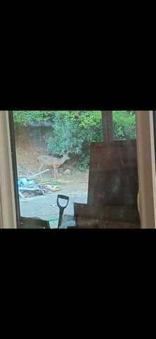 15234 Stormy Ln, Glencoe, CA 95232