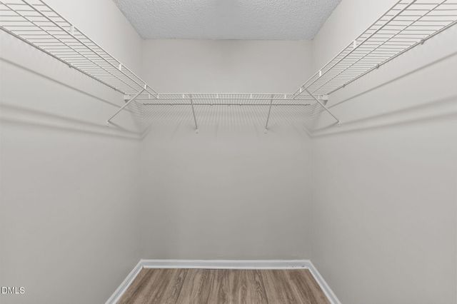 424 Alero Road, Raleigh, NC 27610