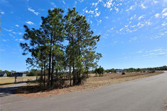 1213 TALLACOE TRAIL, New Smyrna Beach, FL 32168