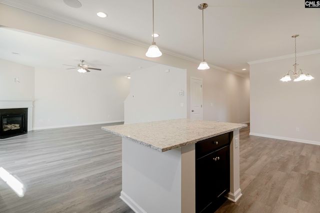 239 Honey Hill Way, Blythewood, SC 29016