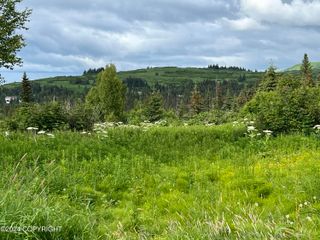 64985 Nikolaevsk Road, Nikolaevsk, AK 99556