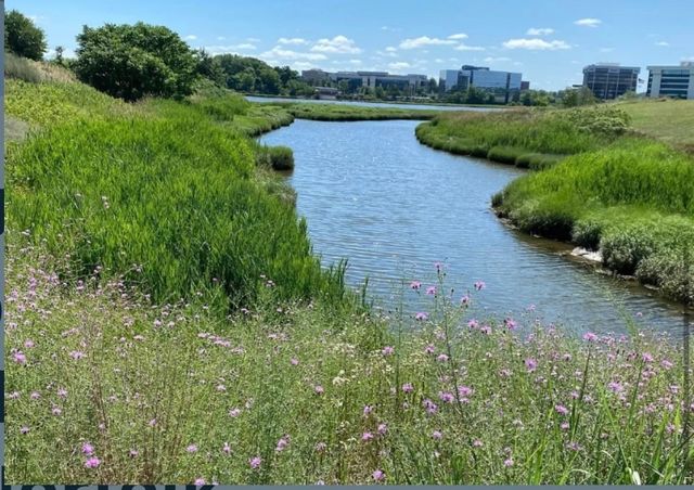 55 Port Norfolk St 3, Boston, MA 02122