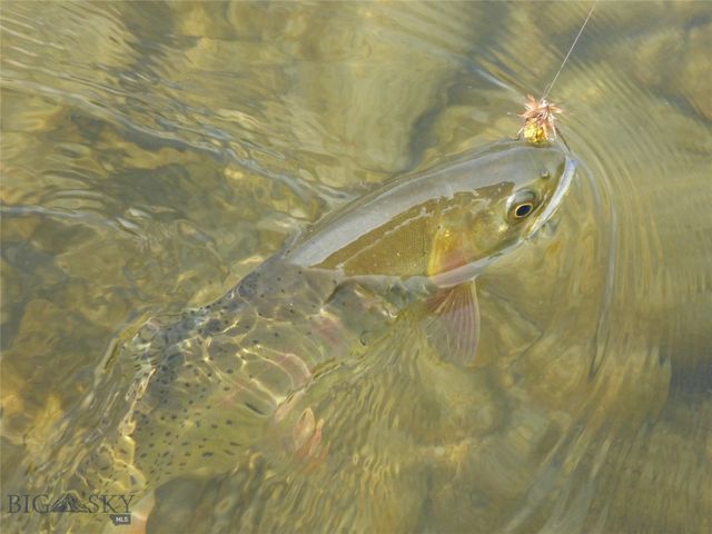 3 Highland Ranch Road, Wilsall, MT 59086