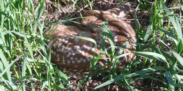 3 Highland Ranch Road, Wilsall, MT 59086