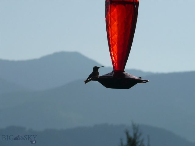 3 Highland Ranch Road, Wilsall, MT 59086