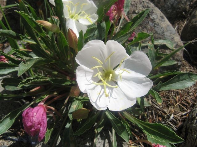 3 Highland Ranch Road, Wilsall, MT 59086