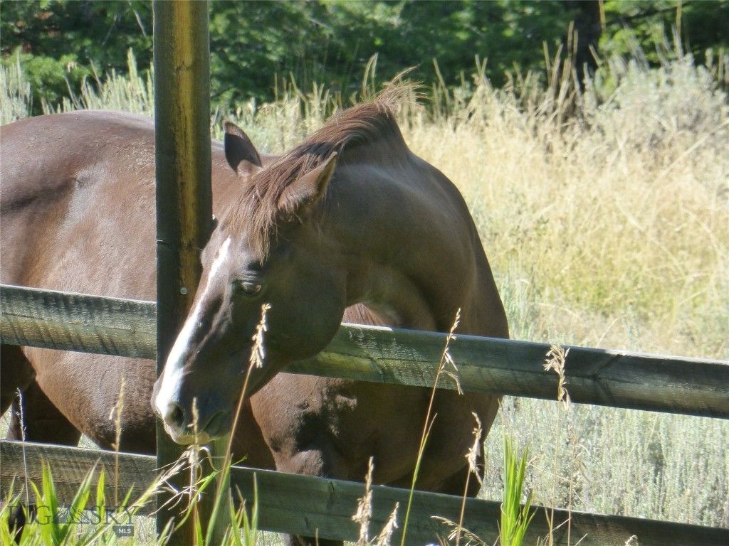 3 Highland Ranch Road, Wilsall, MT 59086 photo 77
