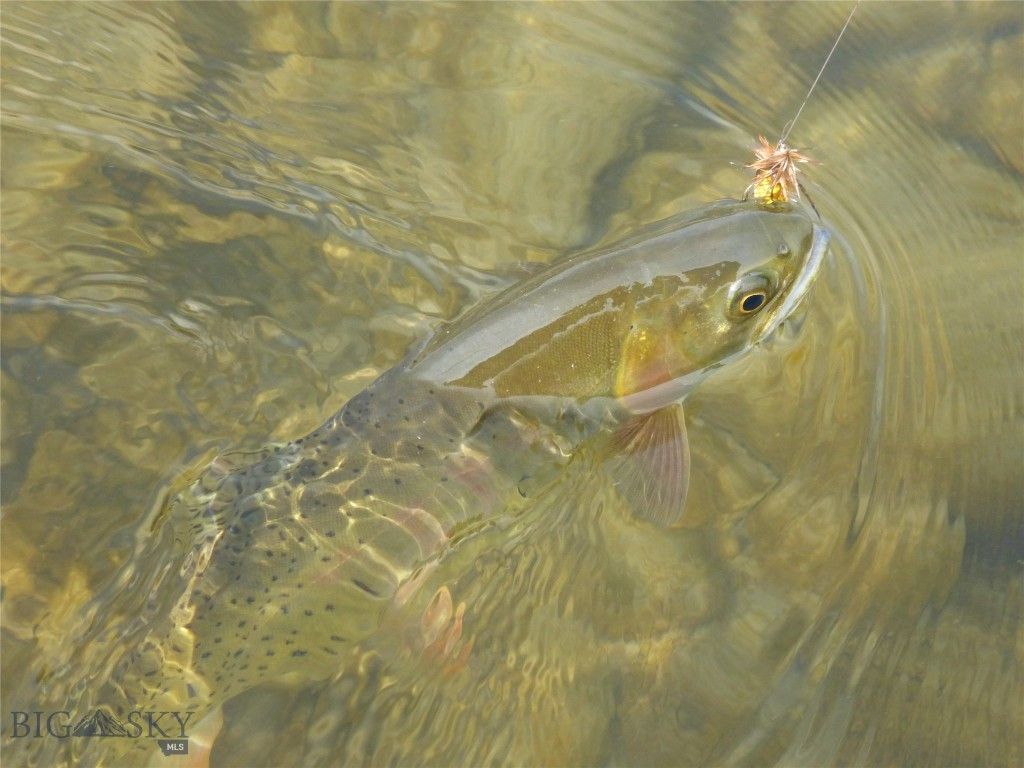 3 Highland Ranch Road, Wilsall, MT 59086 photo 79