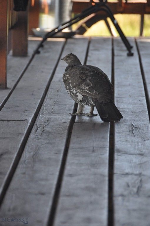 3 Highland Ranch Road, Wilsall, MT 59086 photo 83