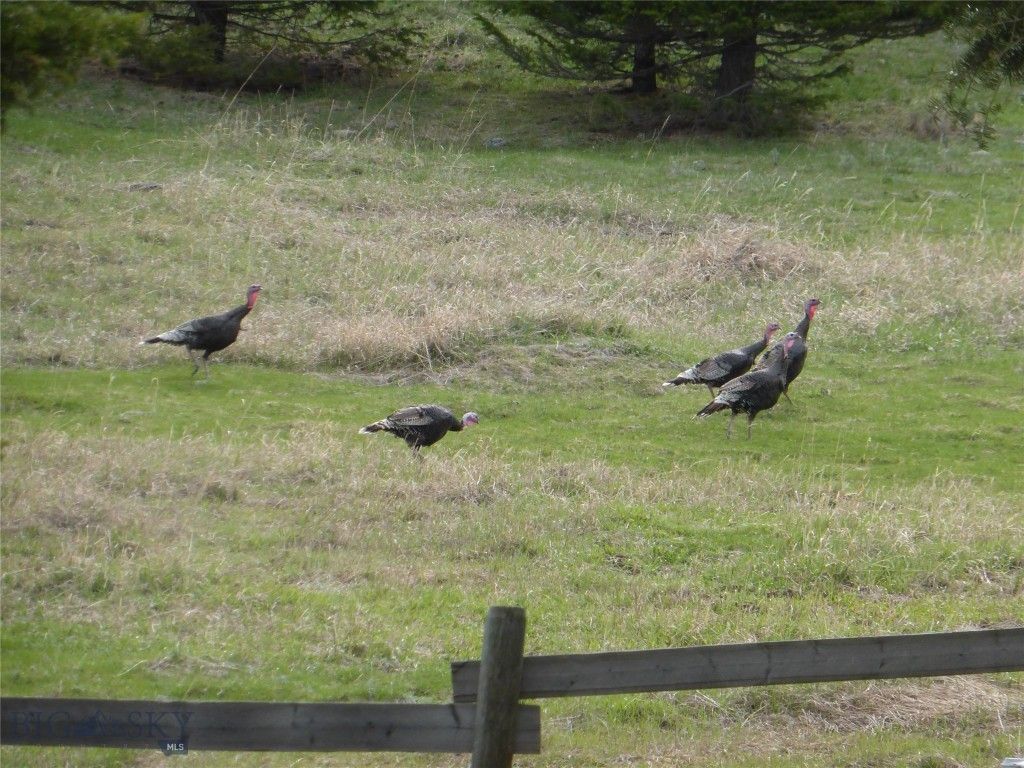 3 Highland Ranch Road, Wilsall, MT 59086 photo 84