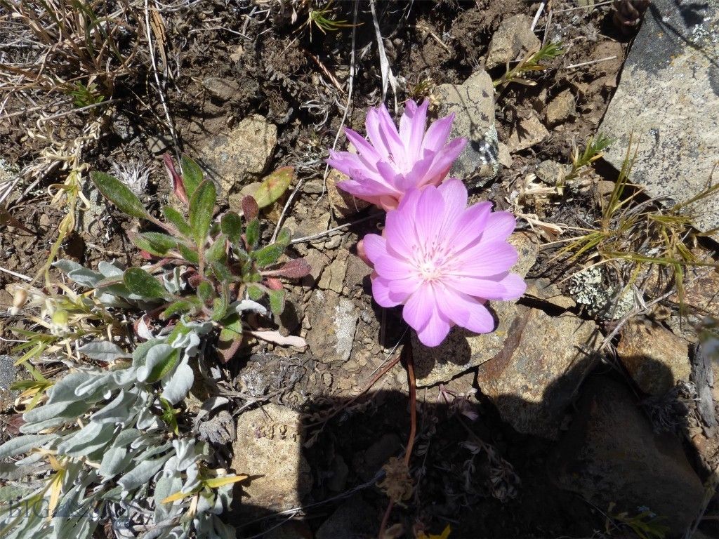 3 Highland Ranch Road, Wilsall, MT 59086 photo 88