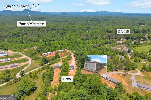 226 Mineral Springs Conn, Demorest, GA 30535
