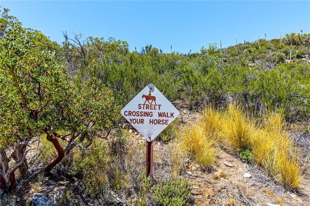 36350 Butterfly Peak, Mountain Center, CA 92561