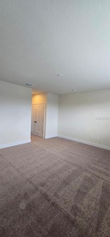 1390 PEACEFUL NATURE WAY, Clermont, FL 34714