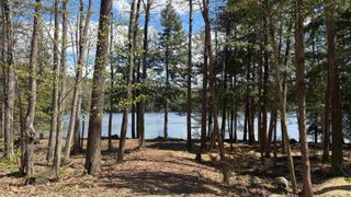 77 Wild Acre Drive, Washington, NH 03280