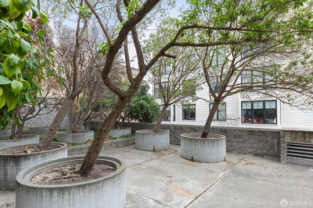 1650 Jackson Street 205, San Francisco, CA 94109