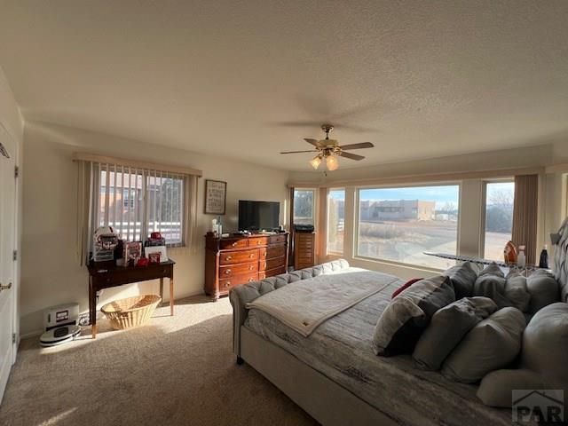 1617 W Tejon Ave, Pueblo West, CO 81007