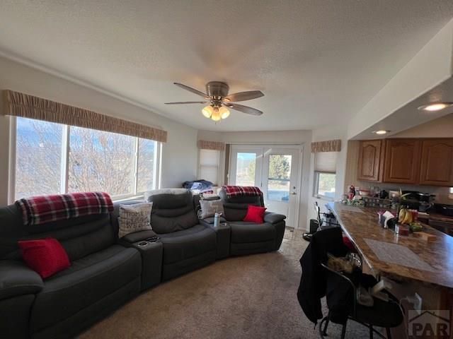 1617 W Tejon Ave, Pueblo West, CO 81007