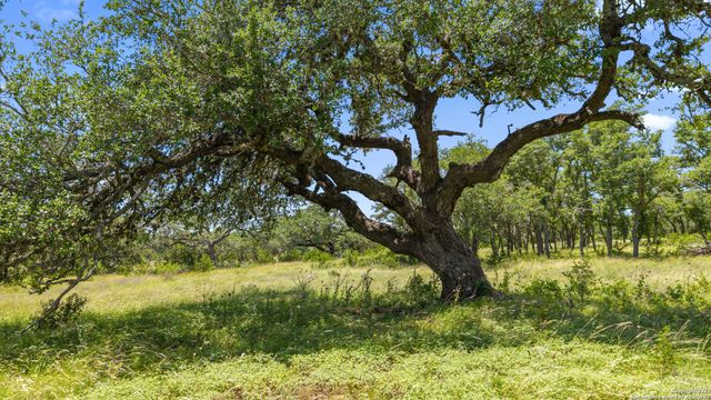 TBD Lindeman Lane, Blanco, TX 78606