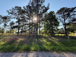 TBD Davenport Drive, Livingston, TX 77351