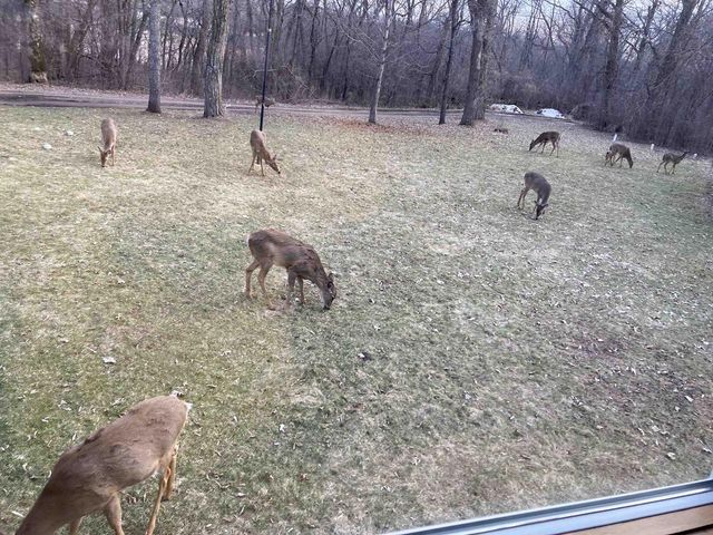 N1640 County Road U, Markesan, WI 53946