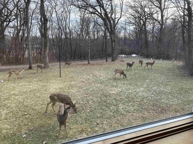 N1640 County Road U, Markesan, WI 53946