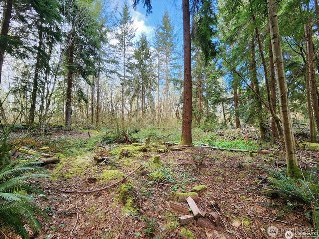 347 xx NE 82nd Place, Carnation, WA 98014